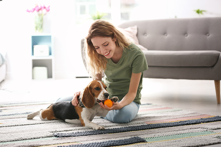 Tutora brinca com brinquedos para cachorro