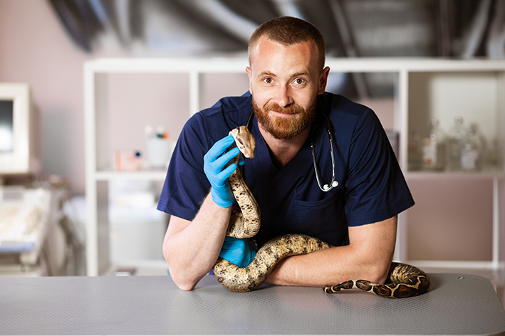 O que faz um médico veterinário