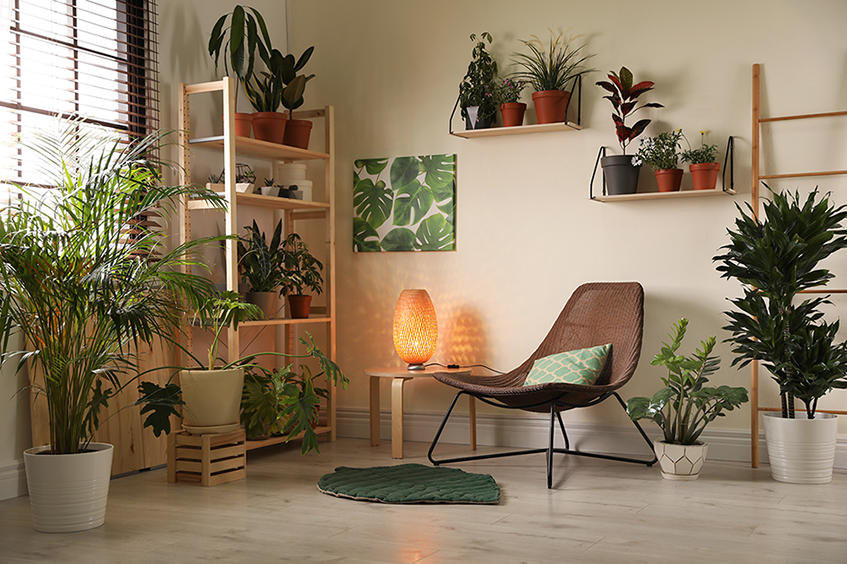 uma urban jungle em casa