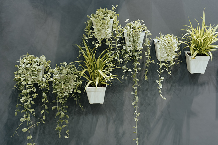 Vaso suspenso: dicas de como utilizá-lo em casa com +55 ideias decorativas 56