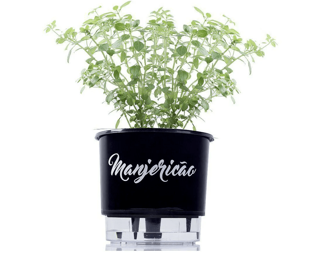 vaso autoirrigável Raiz