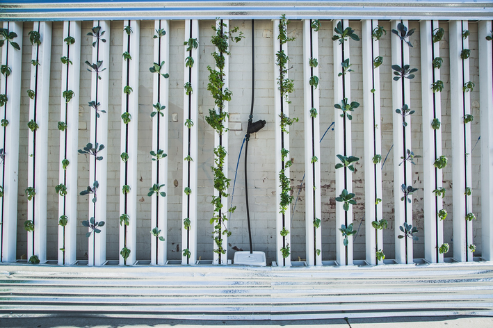 como fazer jardim vertical