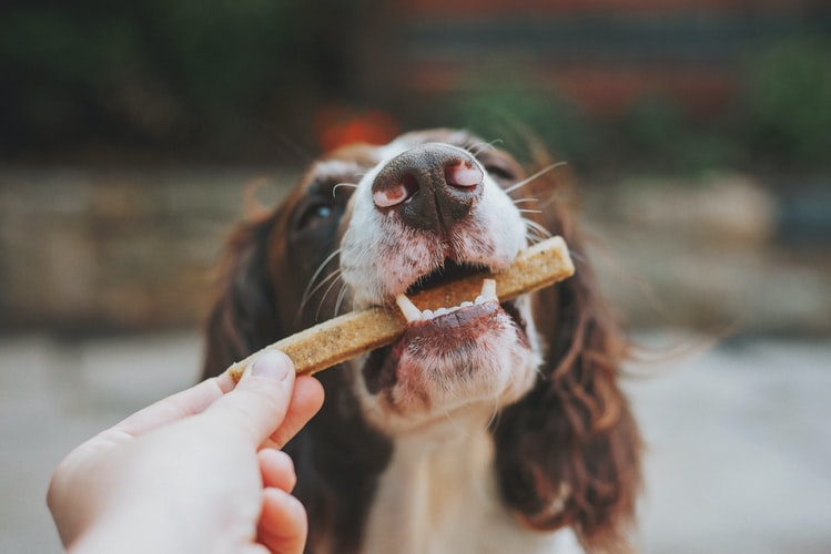 proplan