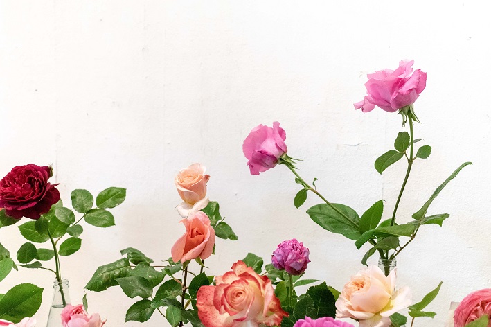 tipos de rosas