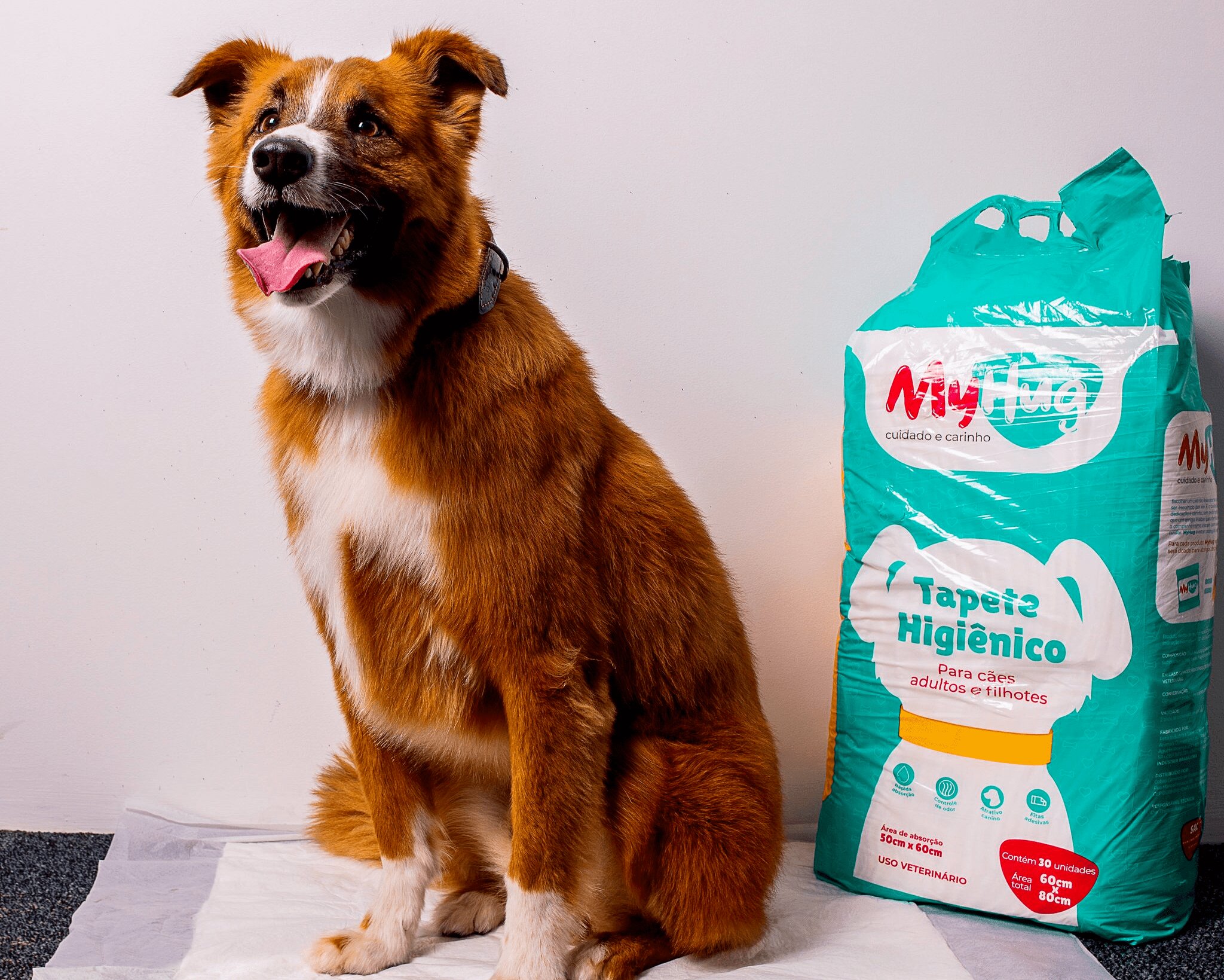 Cachorro ao lado de pacote de MyHug