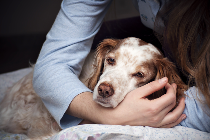 qual remédio dar para cachorro com dor