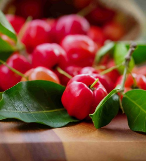 cachorro-pode-comer-acerola