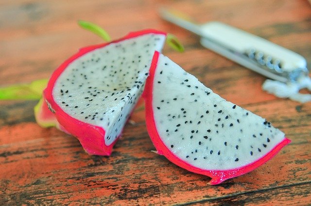 cachorro pode comer pitaya