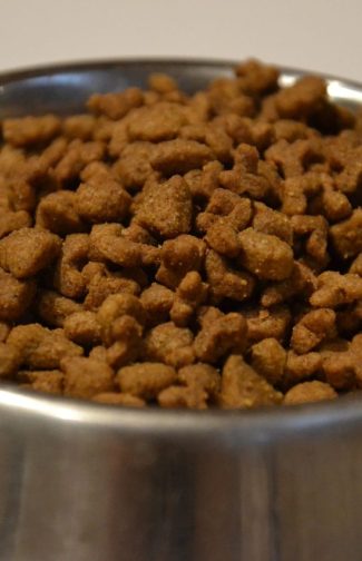 Mídia Kit | Ração Pepil: Nutrição Completa para Cães de Todas as Idades 2