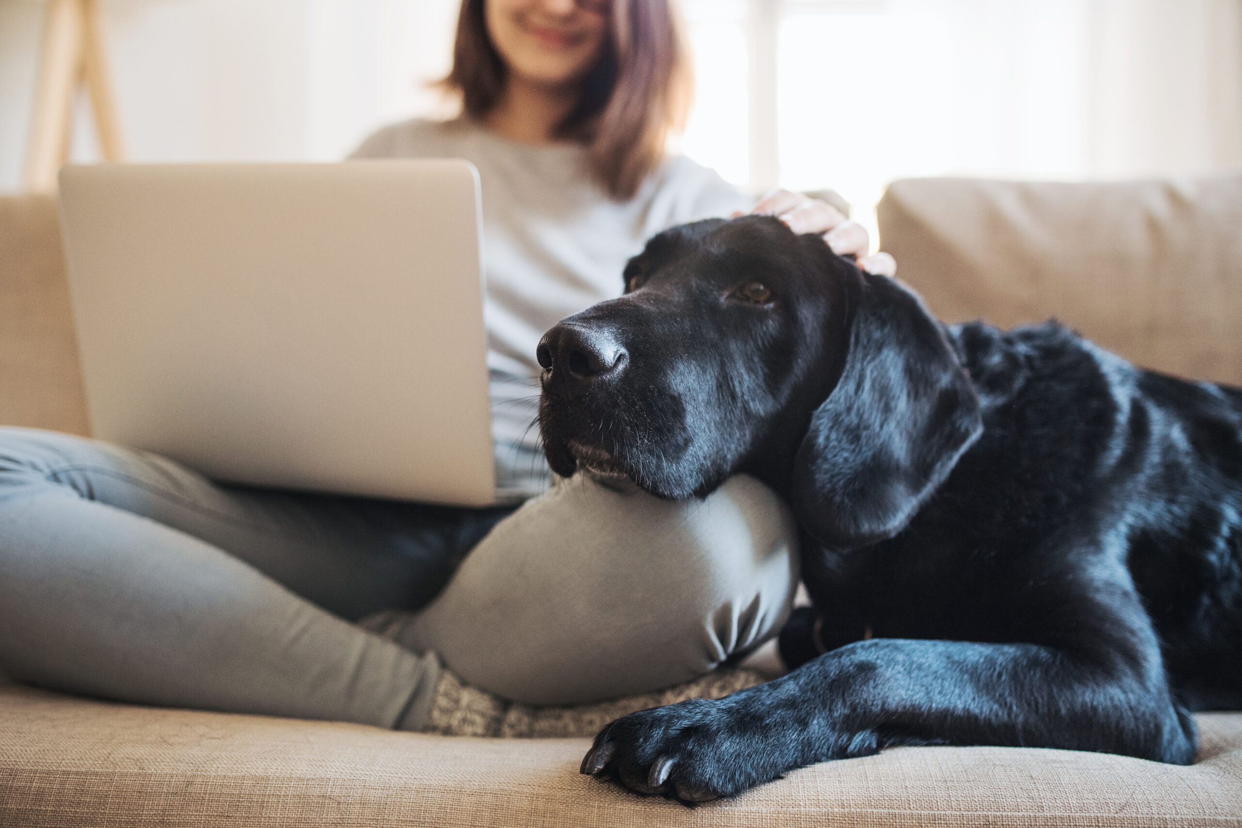 AdobeStock_242453142