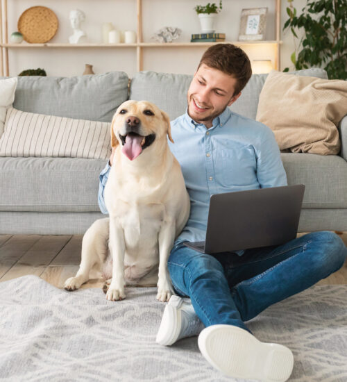 Quiz: Quem é você na Black Friday Pet? 1