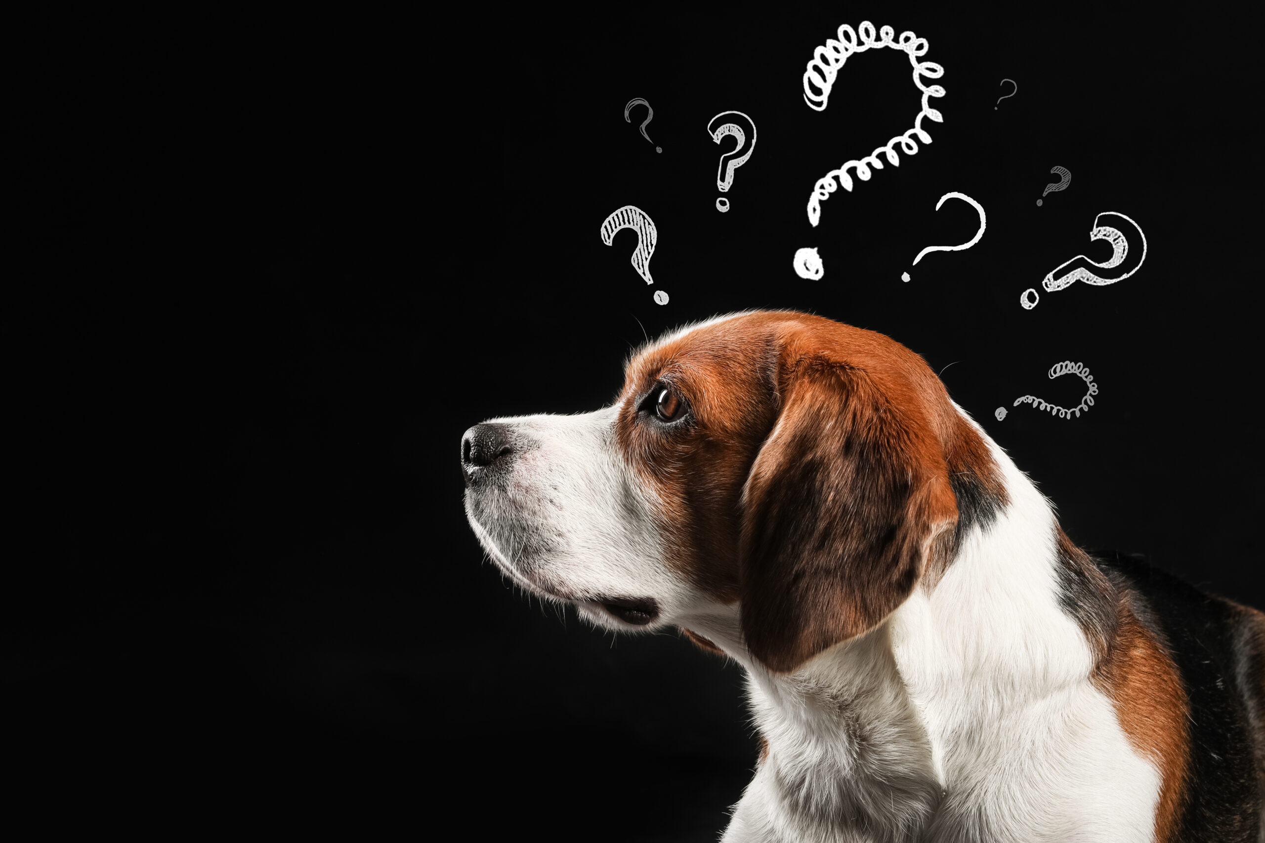 AdobeStock_499927192