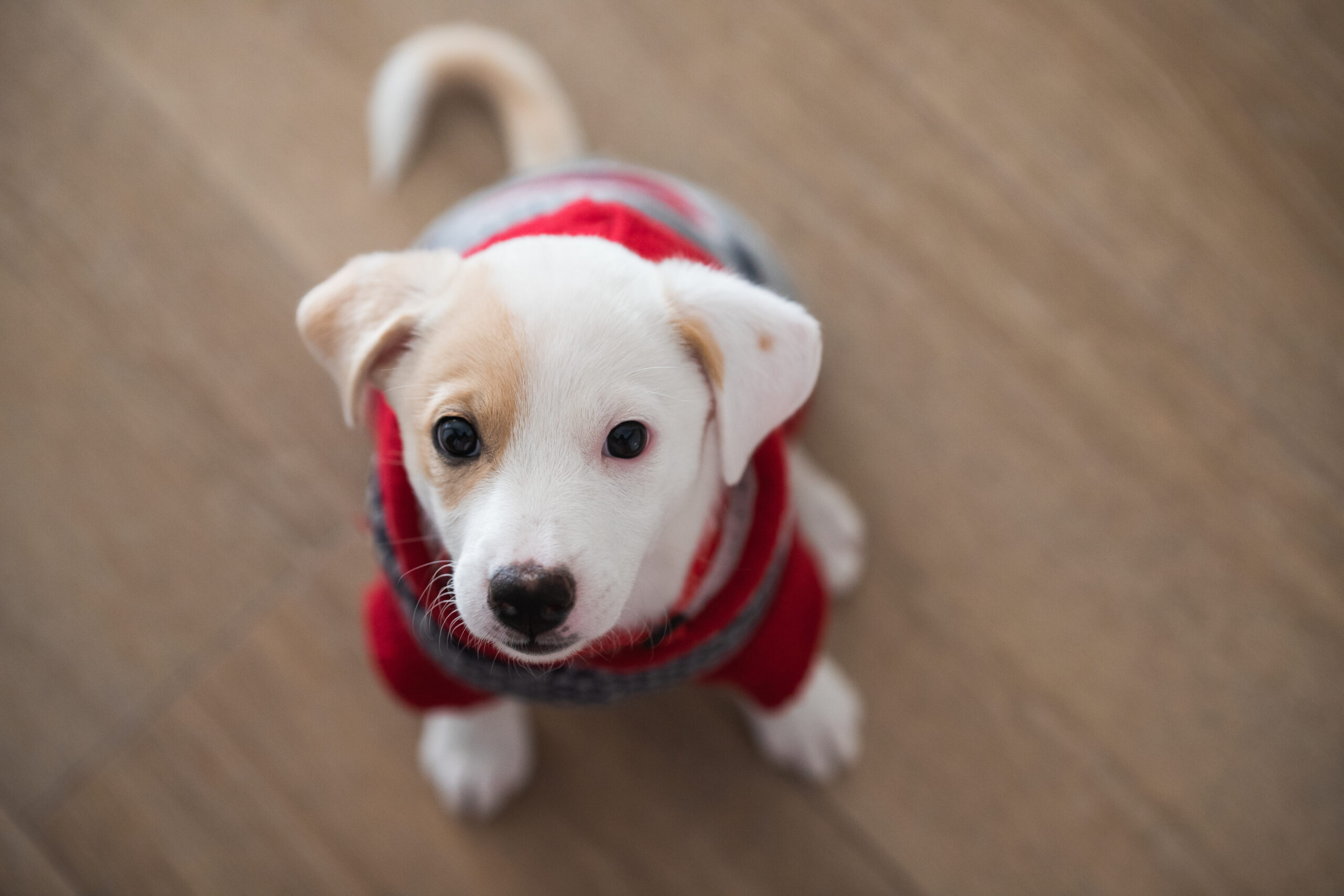 AdobeStock_417716244