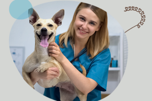 Entenda por que a franquia pet é um modelo de negócio oportuno no Brasil 3