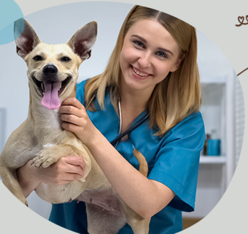 Entenda por que a franquia pet é um modelo de negócio oportuno no Brasil 3