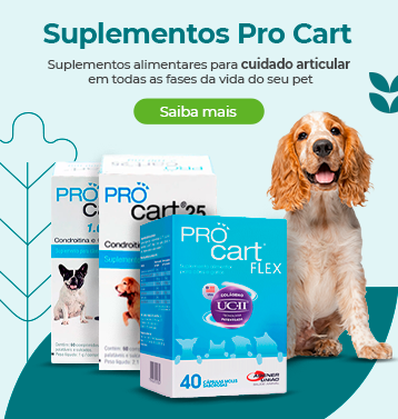 Blog Cobasi: tudo sobre pets, jardinagem e casa! 119