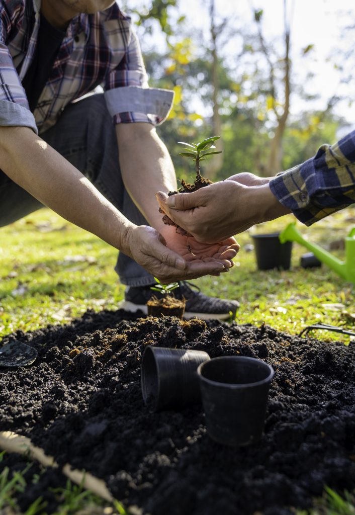Guia de Plantas 7