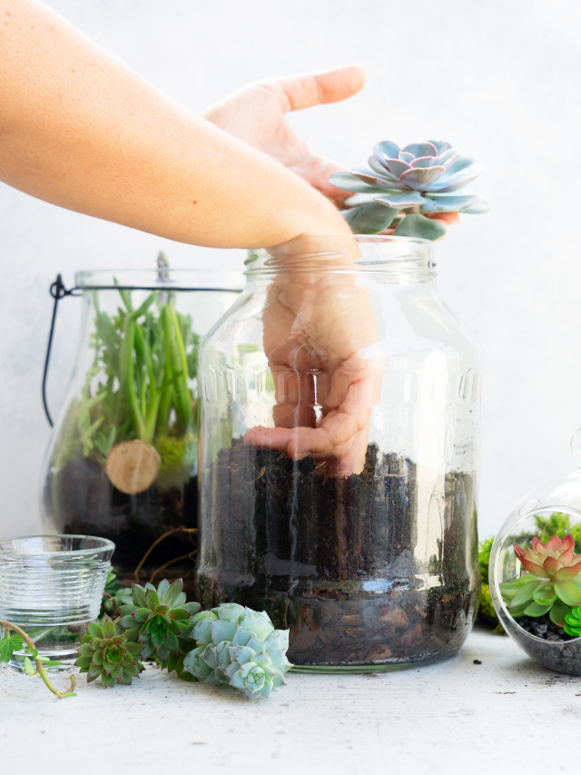 Guia de Plantas 9