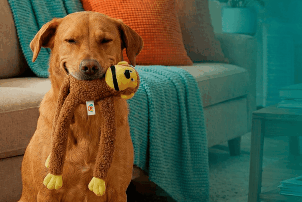 Cobasi mostra os brinquedos mais procurados para cães em 2025 e provoca a reflexão: eles atendem às necessidades do seu cão?