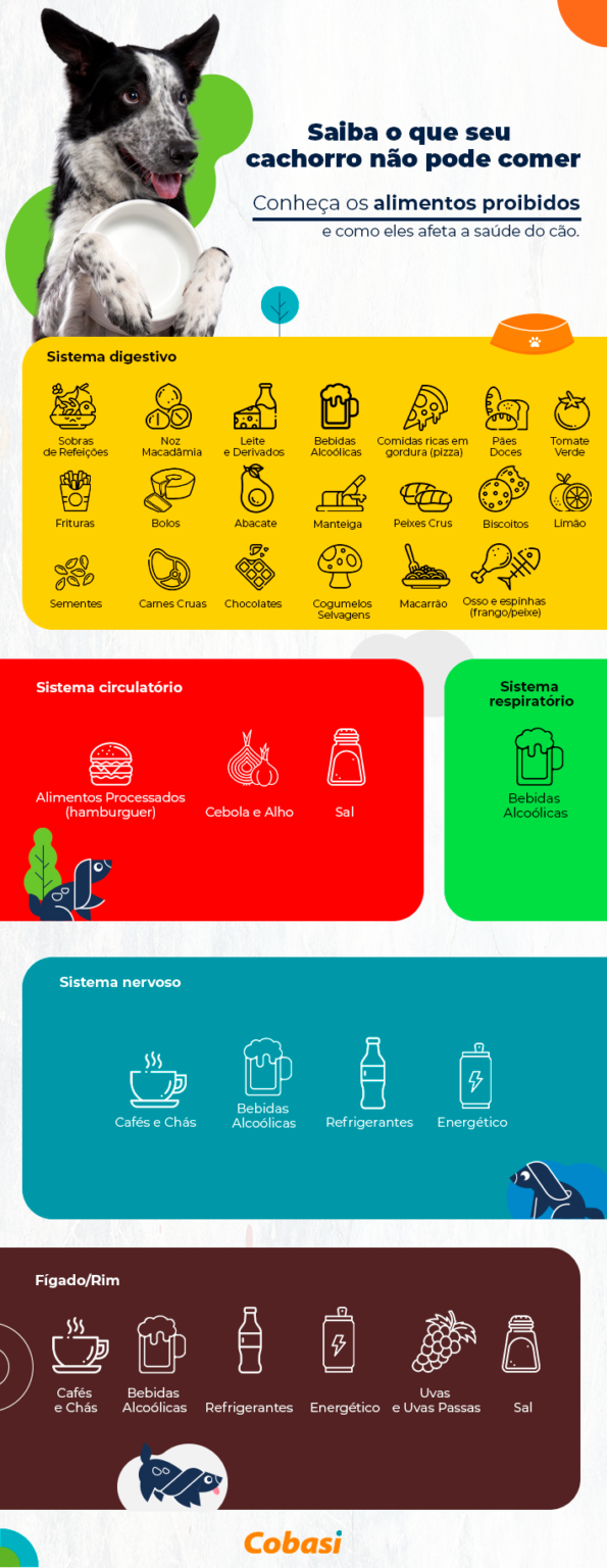 O que cachorro não pode comer? Lista com alimentos perigosos