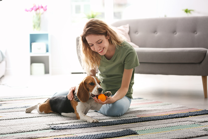 10 melhores brinquedos para cachorro