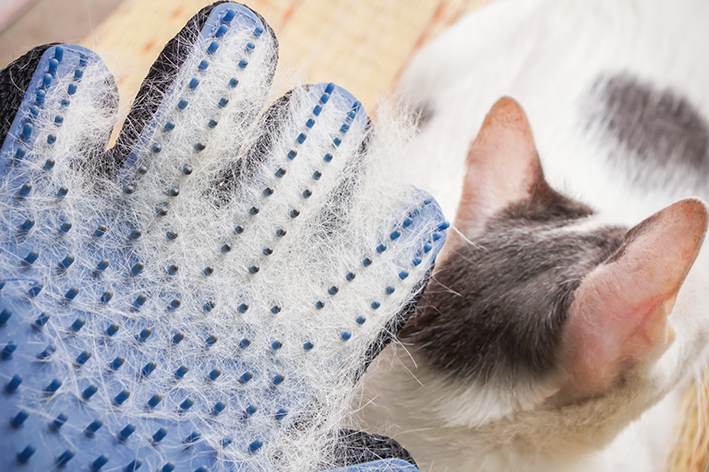 luva para tirar pelos de gato