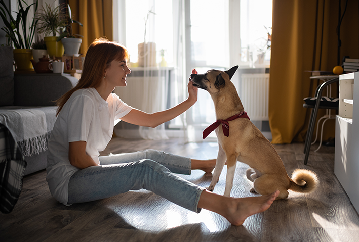 tutora fazendo enriquecimento ambiental com o seu cão