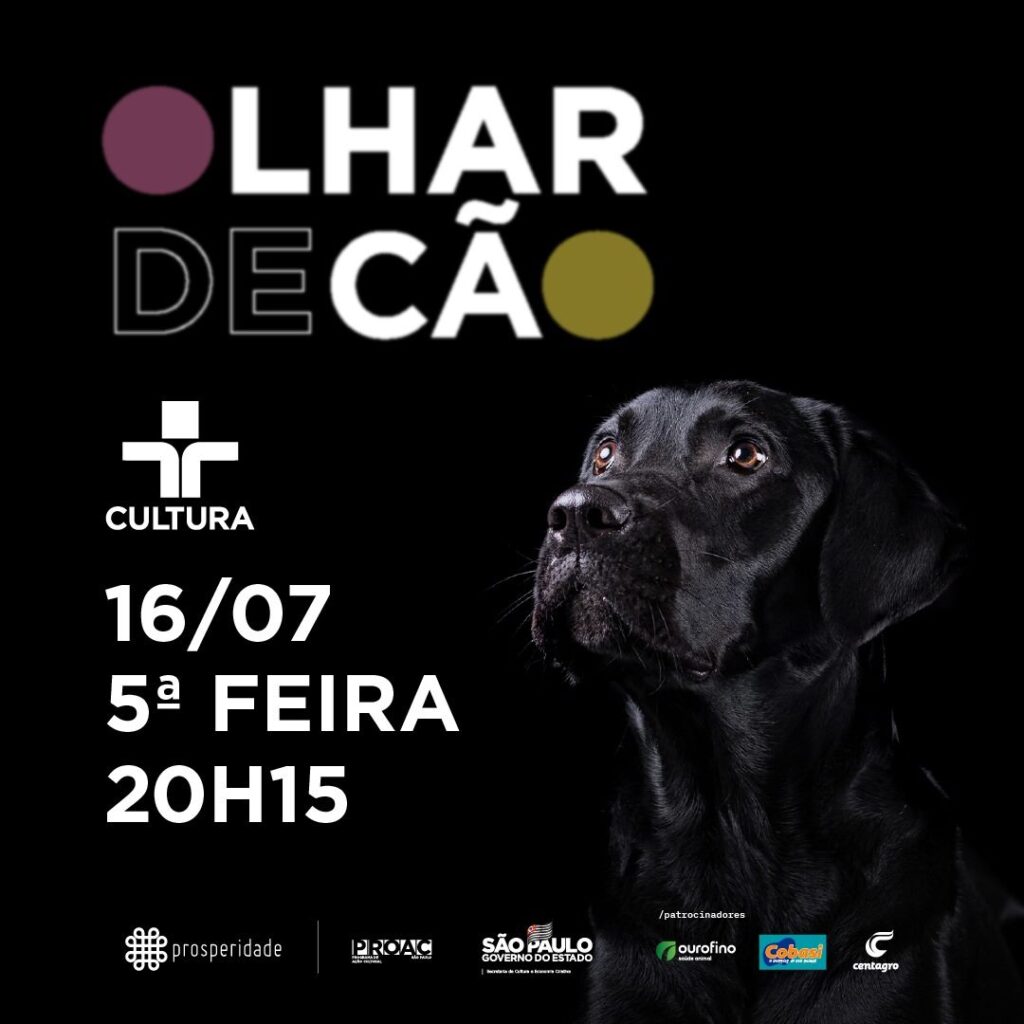 flyer Olhar de Cão