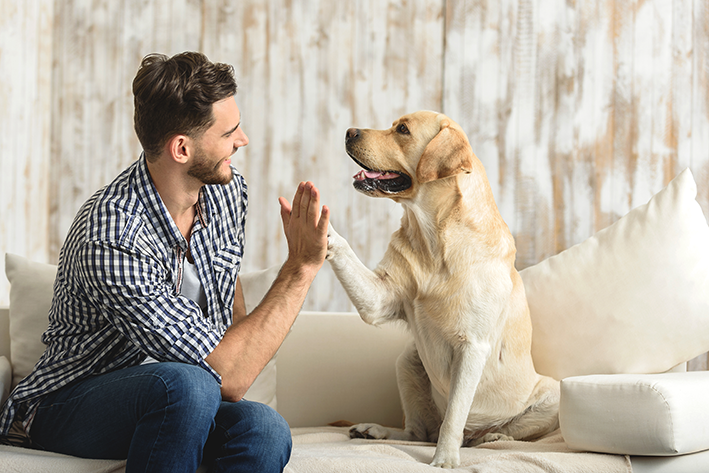 Todo cachorro é para apartamento