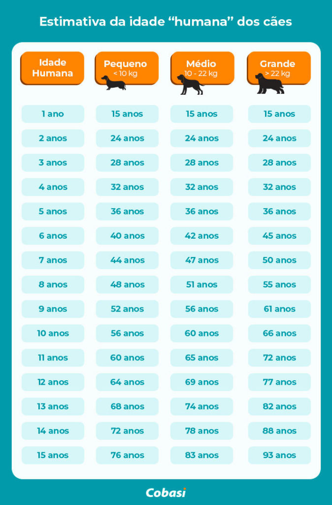 como calcular a idade de cachorro