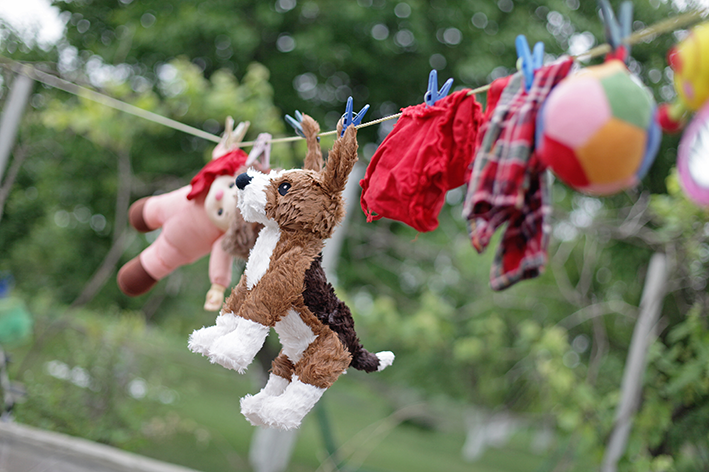 brinquedos e roupas de cachorro penduradas secando ao sol