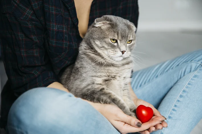 gato e tutora com coração