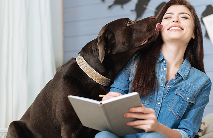 Labrador lambendo o rosto da tutora