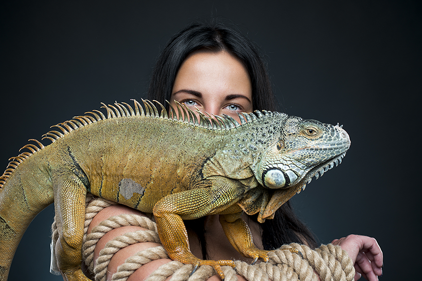 Mulher com iguana de estimação