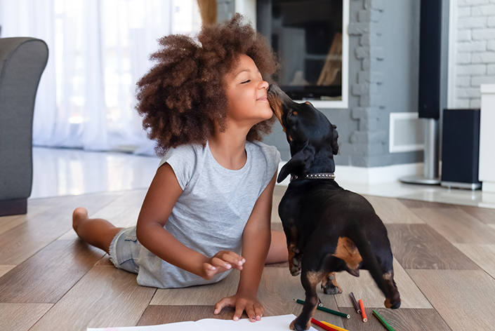 porque os cachorros lambem pessoas e outros animais