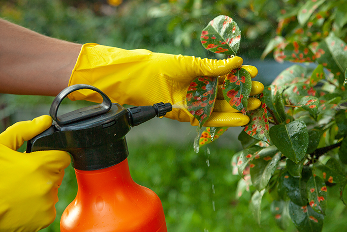 pulverizador de plantas