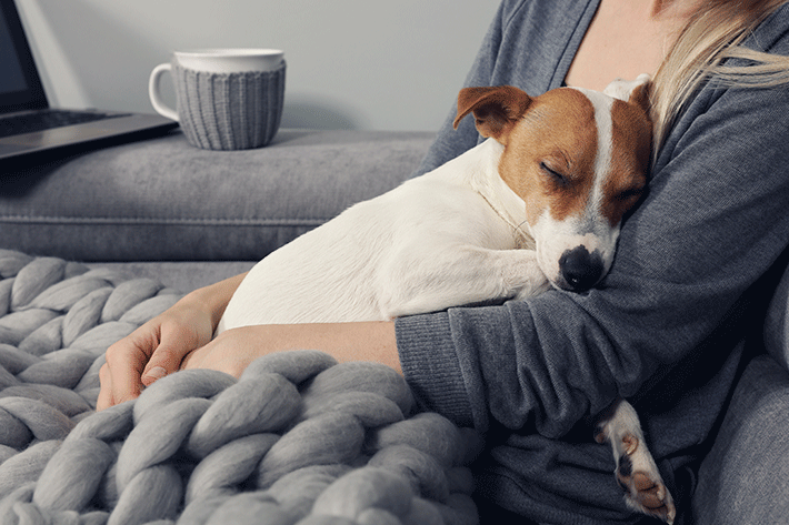 Abraço é uma das respostas de como acalmar um cachorro que tem medo