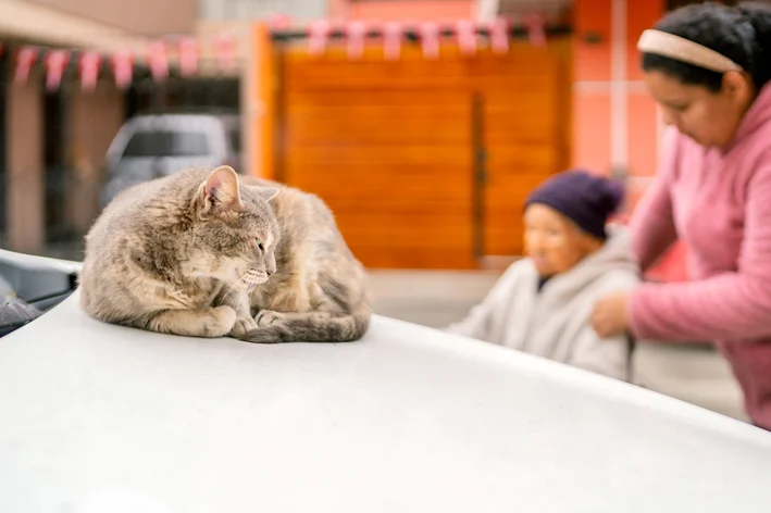 Gato cinza deitado sobre um veículo com uma mulher e uma senhora ao fundo em uma rua residencial.