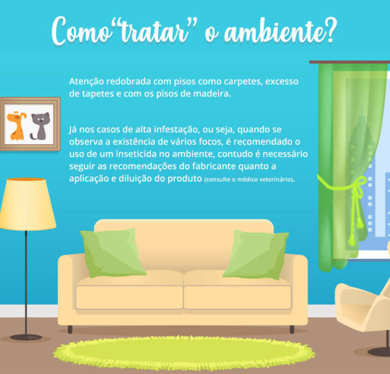 infográfico como tratar pulgas no ambiente 