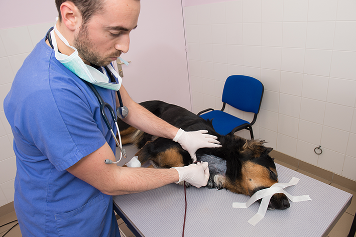 Efeitos no doador da transfusão de sangue