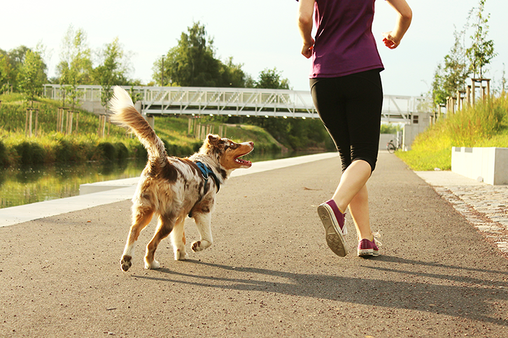 como correr com cachorro