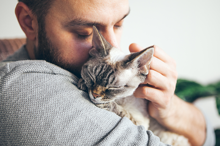 Gatos não se apegam aos seus tutores