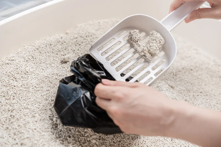 pessoal pegando areia de gato para jogar no vaso