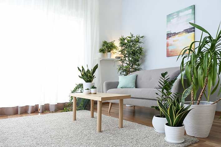 Sala com planta para apartamento