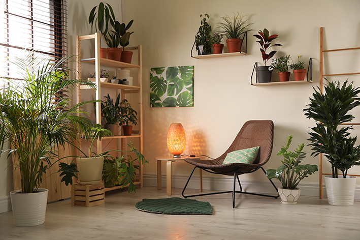 Sala com decoração de plantas