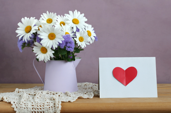 plantas para decoração