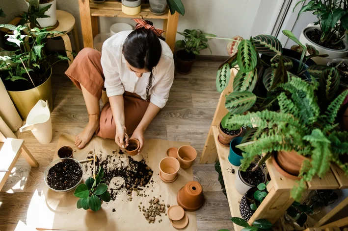  vasos para jardim em casa