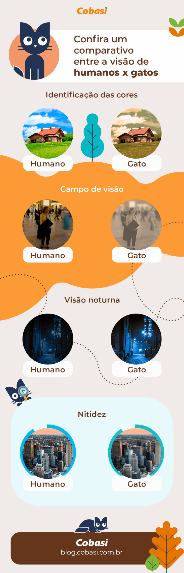 Saiba como os gatos enxergam o mundo | Blog da Cobasi