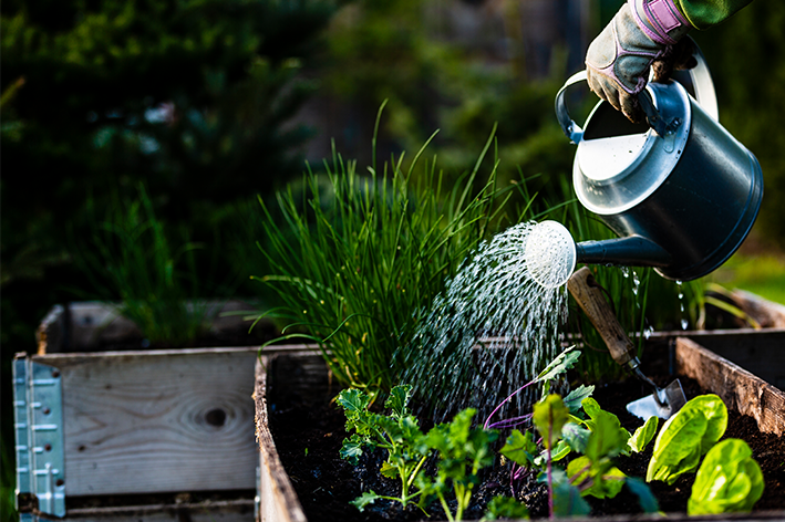 acessórios para jardinagem 