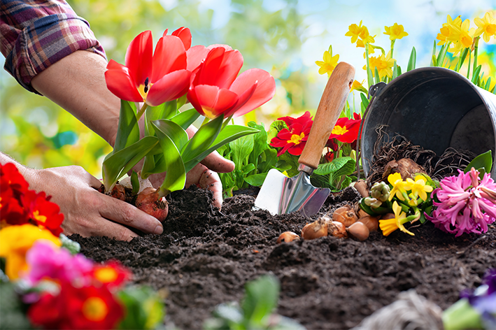 acessórios para jardinagem 